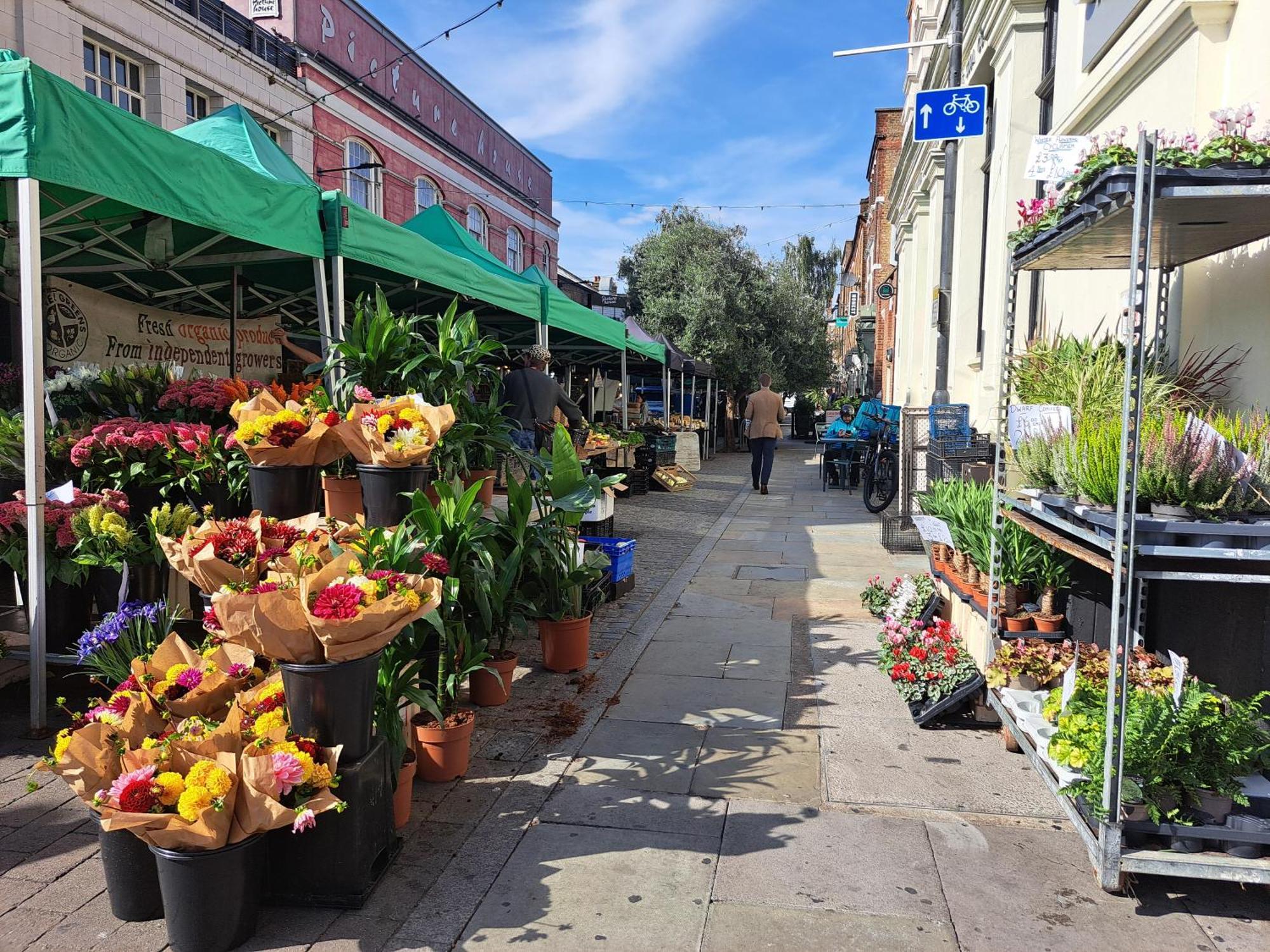 Clapham Serenity Garden Retreat With Free Parking London Ngoại thất bức ảnh